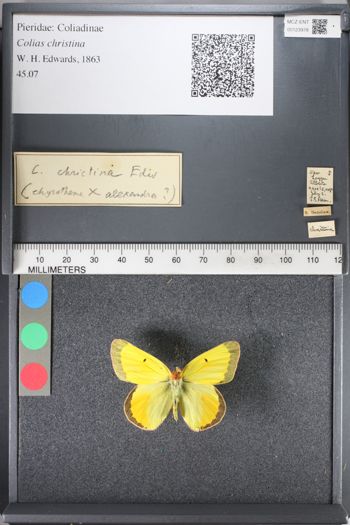 Media type: image;   Entomology 123978